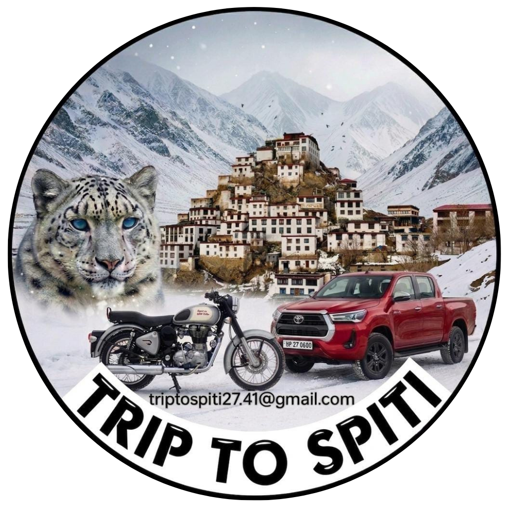 Trip to Spiti Logo